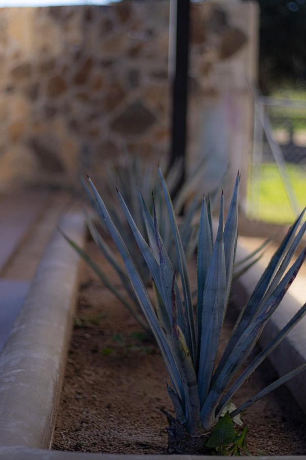 Catrina Valle - Ubicacion 10 Valle de Guadalupe Esterno foto